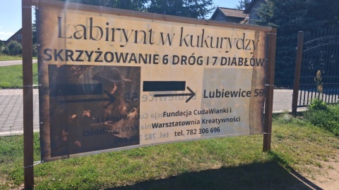 Labirynt w kukurydzy/fot. Iwona Muszytowska-Rzeszotek