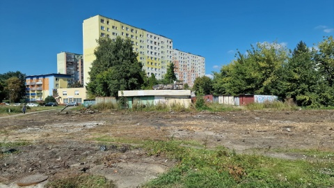 Pierwsze kiladziesiąt drzew już wycięto. /fot. Jarosław Wieprzycki