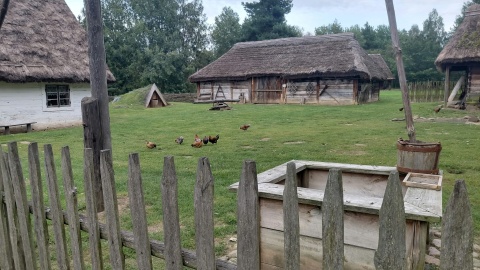 Turyści mogli za darmo zwiedzić Kujawsko-Dobrzyński Park Etnograficzny w Kłóbce. /fot. Radosław Jagieła