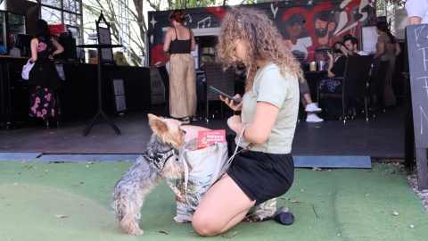 Dog&Cat Summer Fest na terenie Fabryki Lloyda w Bydgoszczy/fot. Tatiana Adonis