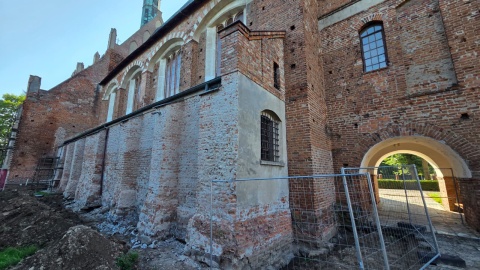 Mogiłę dzieci oraz pochówek matki z dzieckiem sprzed setek lat znaleziono przy Starej Farze w Świeciu/fot. Marcin Doliński