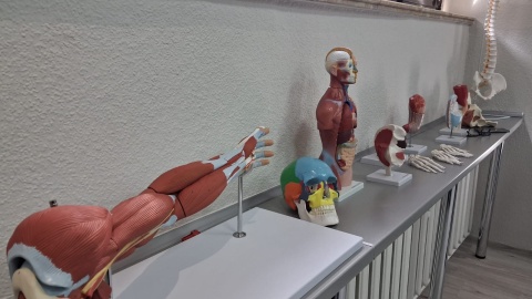 Instytut Fizjoterapii Wyższej Szkoły Nauk o Zdrowiu w Bydgoszczy otwarty/fot. Damian Klich