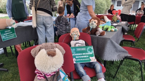 Piknik Instytutu Fizjoterapii Wyższej Szkoły Nauk o Zdrowiu w Bydgoszczy /fot. Damian Klich