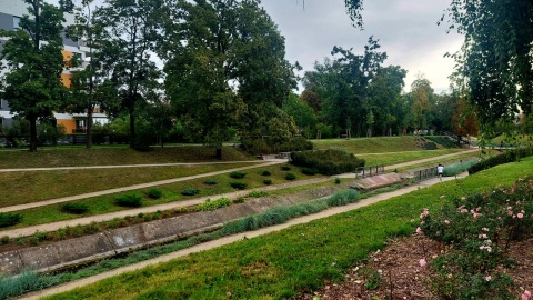 Ekopiknik „Okole na błysk"/fot. Dorota Witt