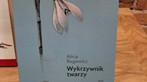 Gala wręczenia Strzał Łuczniczki po raz pierwszy odbyła się w Młynach Rothera. / Fot. Ewa Dąbska-Wieczorkowska