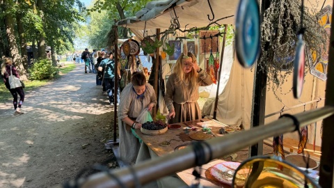 W Biskupinie trwa 31. Festyn Archeologiczny. /fot. Tomasz Kaźmierski