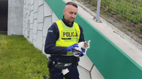 Policjanci zaopiekowali się maluchem i przekazali go dalej.