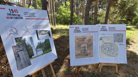 Cmentarz wojenny na Glinkach w Małej Nieszawce pod Toruniem/fot. Mariusz Luda