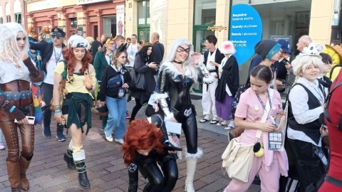 Festiwal Copernicon w Toruniu/fot. Monika Kaczyńska