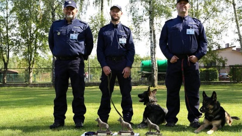 XXIII finału Kynologicznych Mistrzostw Policji w Sułkowicach/fot. Centrum Szkolenia Policji w Legionowie