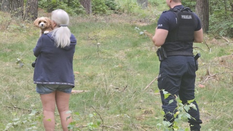 Osłabiony Bielik znaleziony we Wdeckim Parku Krajobrazowym/fot. Wdecki Park Krajobrazowy