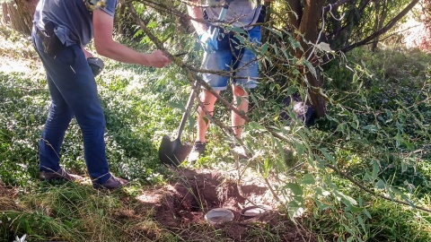 Ponad 300 kilogramów różnego rodzaju narkotyków mogło trafić na rynek w wyniku działalności zorganizowanej grupy przestępczej rozbitej przez funkcjonariuszy Centralnego Biura Śledczego Policji/ Fot. CBŚP