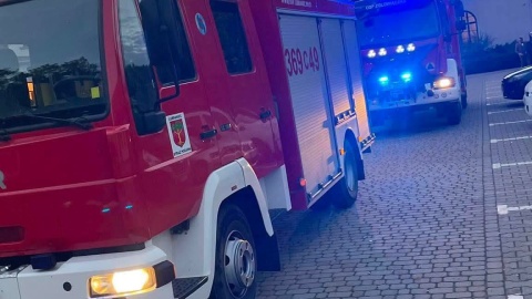 W stawie sąsiadującym z lokalem gastronomicznym utonął 6-letni chłopiec/fot. OSP KSRG Lubraniec