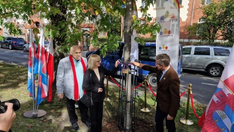 Kolejny dąb dla zasłużonych pojawił się przy Alei Ossolińskich w Bydgoszczy/fot. Jarosław Wieprzycki