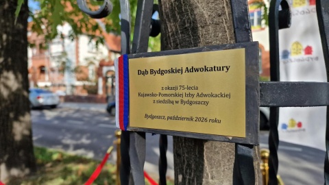 Kolejny dąb dla zasłużonych pojawił się przy Alei Ossolińskich w Bydgoszczy/fot. Jarosław Wieprzycki