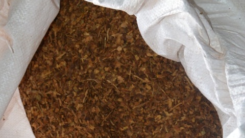 Prawie 400 tysięcy sztuk papierosów, 100 kilogramów tytoniu i 100 litrów spirytusu w Kruszwicy. 49-latek zatrzymany za nielegalne posiadanie towaru/fot. KPP Inowrocław