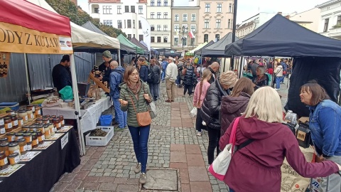 Wolny Jarmark Toruński/fot. Monika Kaczyńska