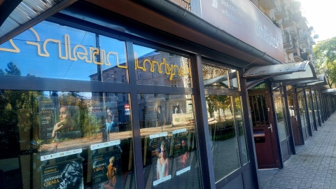 Wypożyczanie książek to tylko jedna z wielu funkcji, jakie pełni Biblioteka Londynek/fot. Dorota Witt