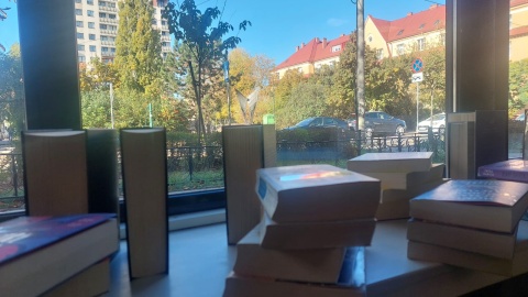 Wypożyczanie książek to tylko jedna z wielu funkcji, jakie pełni Biblioteka Londynek/fot. Dorota Witt
