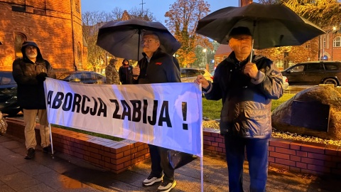 Manifestacja w Bydgoszczy/fot. Natasza Trzebuchowska