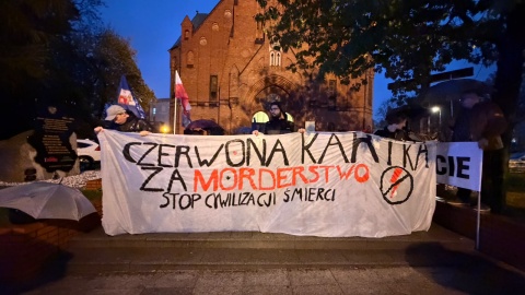 Manifestacja w Bydgoszczy/fot. Natasza Trzebuchowska