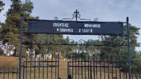 To najstarszy cmentarz mennonicki w kraju. /fot. Marcin Doliński