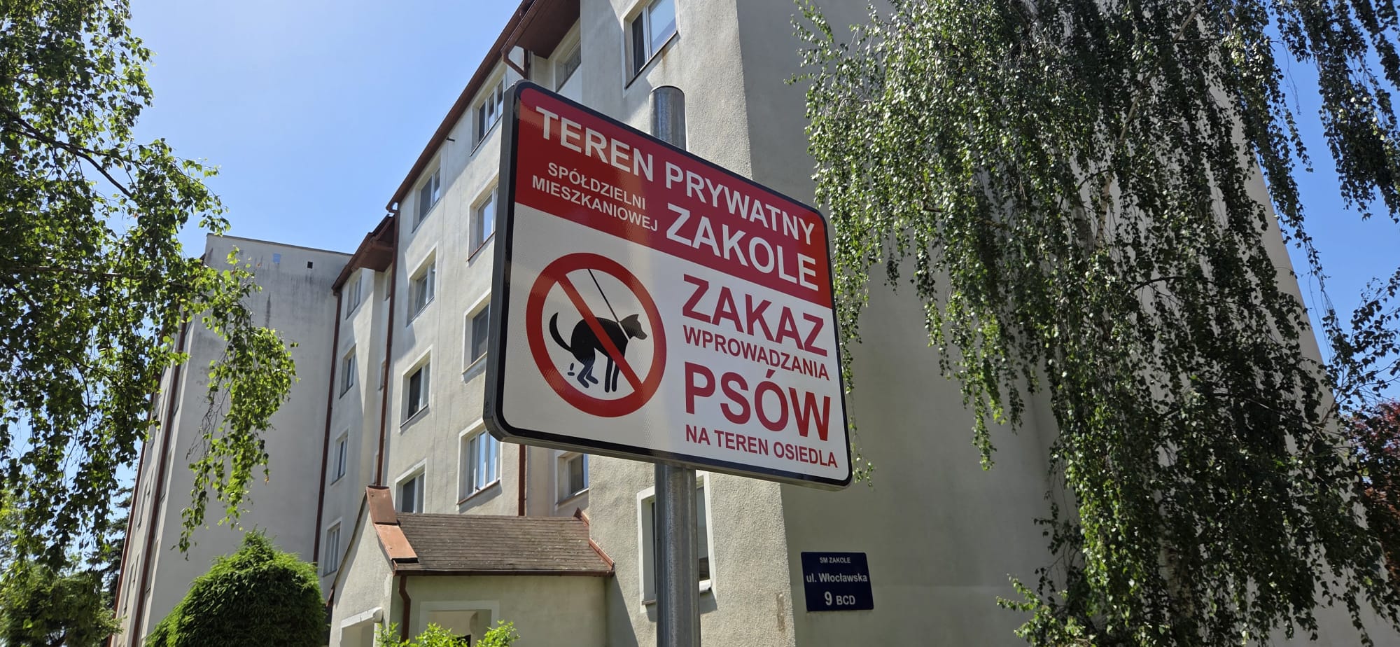 Psia toaleta pod nosem sąsiada. Toruńska spółdzielnia postawiła ...