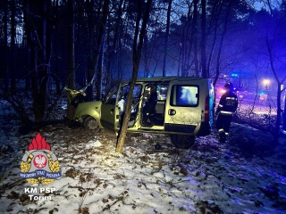 Wypadek na trasie Toruń - Bydgoszcz. Samochód osobowy uderzył w dzika i zjechał z drogi [zdjęcia]