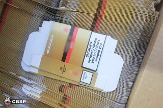 Nielegalny magazyn papierosów w pobliżu Włocławka [zdjęcia]