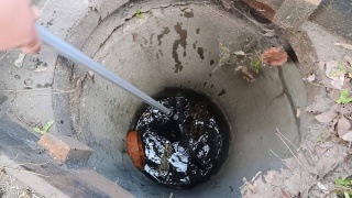 Tak w Toruniu uratowano malutkie kaczki. Akcja wymagała użycia... holownika samochodowego [zdjęcia]