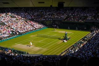 Wimbledon 2026: Koniec życiowej przygody Piter. Polka odpadła w ćwierćfinale debla
