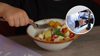 Zakażenia salmonellą w Toruniu. Poznaliśmy pierwsze wyniki badań sanepidu