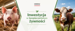 Nawet pół miliarda euro na inwestycje. W ramach Planu Strategicznego Wspólnej Polityki Rolnej