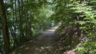 Idealne miejsce na odpoczynek od codzienności. Wdecki Park Krajobrazowy w Wakacyjnym przewodniku po regionie