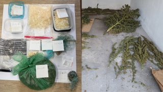 Pod Szubinem zlikwidowali plantację marihuany. W Grudziądzu kobiety wpadły za m.in. psychotropy