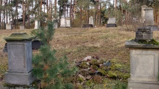 Cmentarz mennonicki w Sosnówce z długą historią. Najstarszy nagrobek pochodzi z 1691 roku