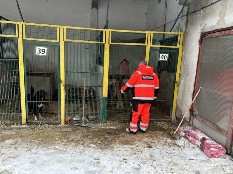Toruńscy ratownicy wodni zawieźli karmę psom ze schroniska w Ostrowitem. Chłopaki na medal [zdjęcia]