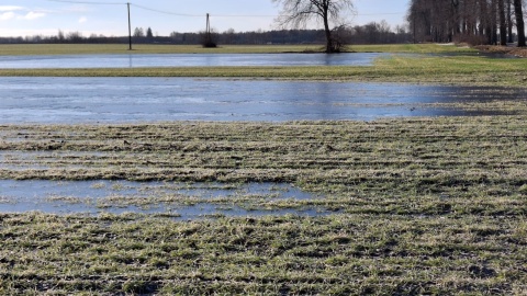 Dramatyczna sytuacja rolników z regionu. Woda zalała pola i opóźnia prace [zdjęcia i wideo]