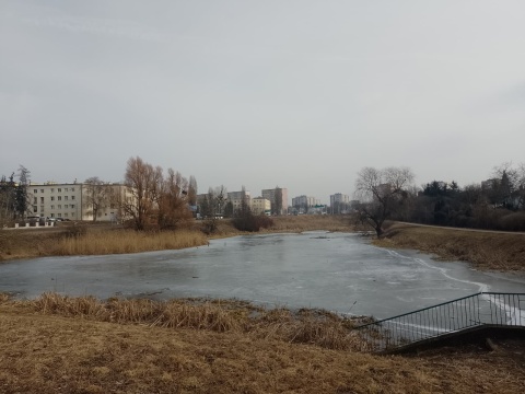 Toruński Kaszownik czeka rewitalizacja. Fajnie, gdyby było jak w bydgoskim Myślęcinku