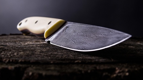 Krwawe rozliczenie na Fordońskiej w Bydgoszczy. Nożownik aresztowany, prokuratura ujawnia kulisy ataku