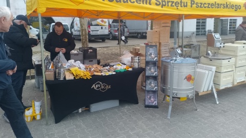 O kondycji pszczół po zimie i nowych obowiązkach pszczelarzy rozmawiali eksperci w Toruniu [zdjęcia]