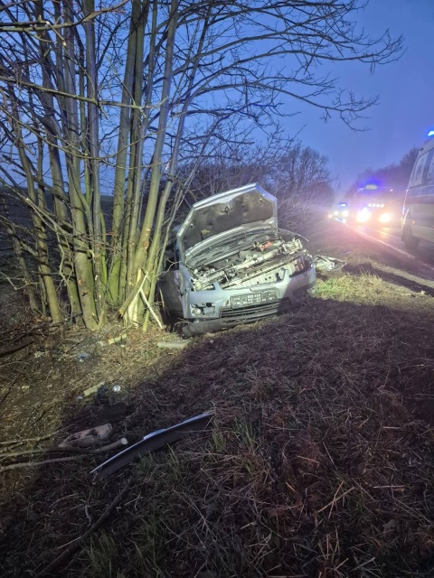 Zderzenie auta ze zwierzęciem niedaleko Grudziądza, są ranni [aktualizacja]
