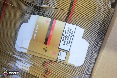 Nielegalny magazyn papierosów w pobliżu Włocławka [zdjęcia]