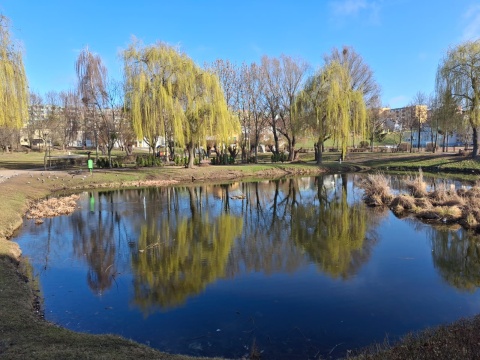 Ruszą prace nad Małym Blankuszem w Świeciu. To będzie przyrodnicza oaza wypoczynku [wizualizacja]