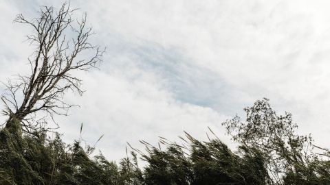 Ostrzeżenie przed silnym wiatrem w całym regionie. Porywy do 85 kmh