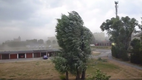 Ostrzeżenie przed silnym wiatrem w całym regionie. Porywy do 85 kmh