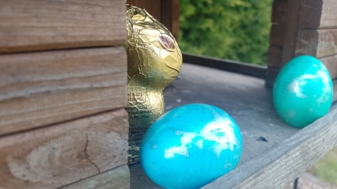 Zajączek przybył do jednej z rodzin pod Toruniem. Dzieci musiały wykonać misję specjalną