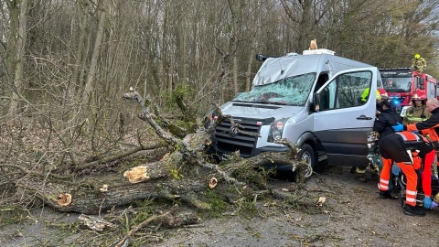 Konar spadł na samochód w powiecie grudziądzkim. Jedna osoba trafiła do szpitala