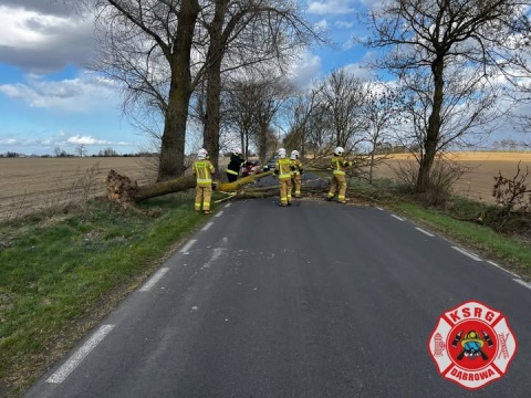 Wiatr nie ustępuję. Najgorzej jest na Wybrzeżu. W Kujawsko-Pomorskiem także alert