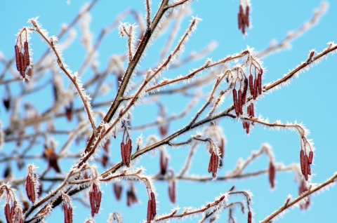 Kolejne ostrzeżenie: czeka nas noc z przymrozkami, i to w całym regionie